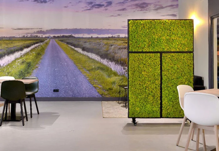 Yfke Blom - Bio Montage wanden #1