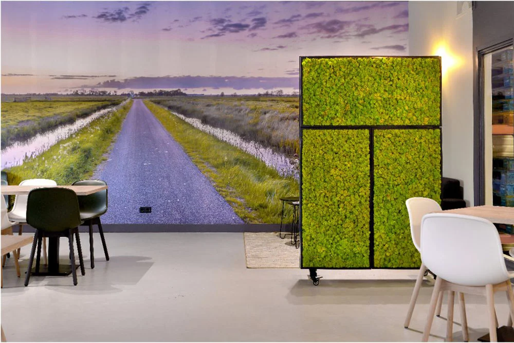 Yfke Blom - Bio Montage wanden #9