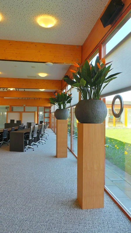 Yfke Blom - Gemeentehuizen #1
