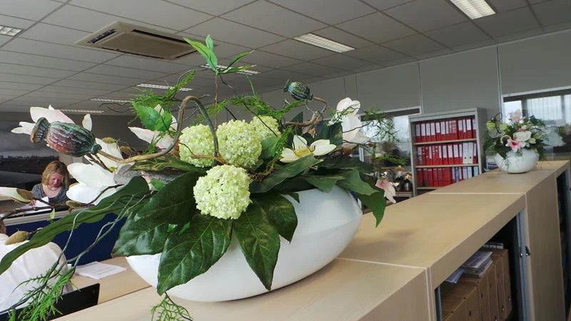 Yfke Blom - Stertil Drogeham #4