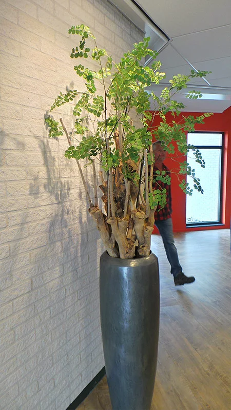 Yfke Blom - Uitvaart #2