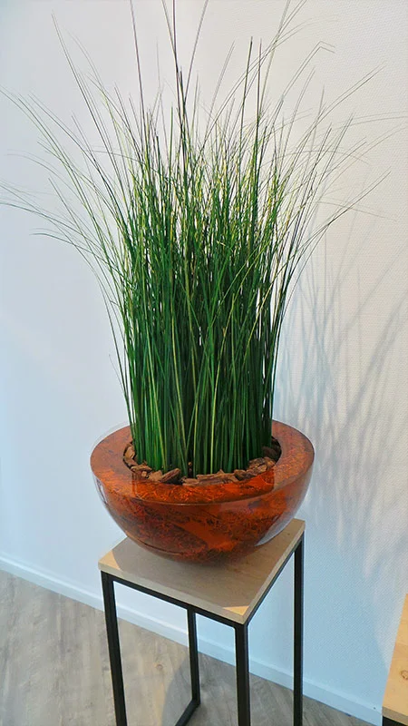 Yfke Blom - Uitvaart #4